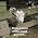 Video of Annetta Ribken