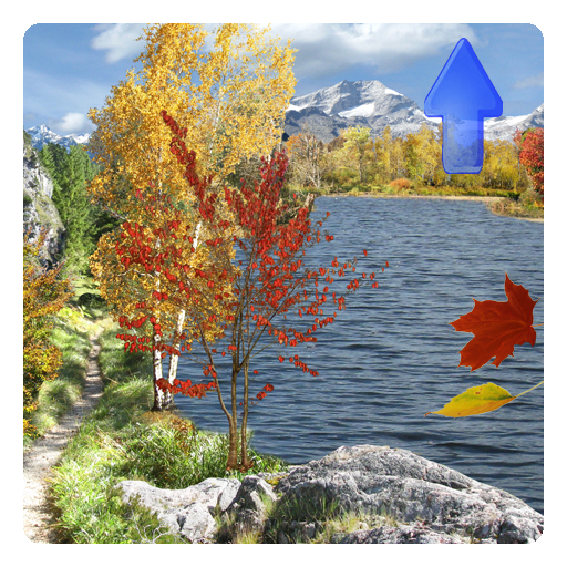 Season Fall Live Wallpaper Pro
