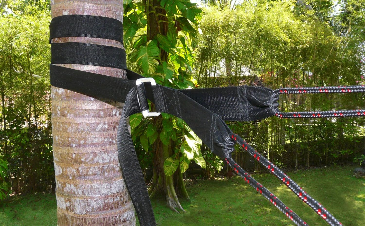 Купить New & Improved Hammock Bliss Deluxe Cinching Tree Straps Heavy Duty & Extra Long