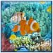 Aquarium ScreenSaver