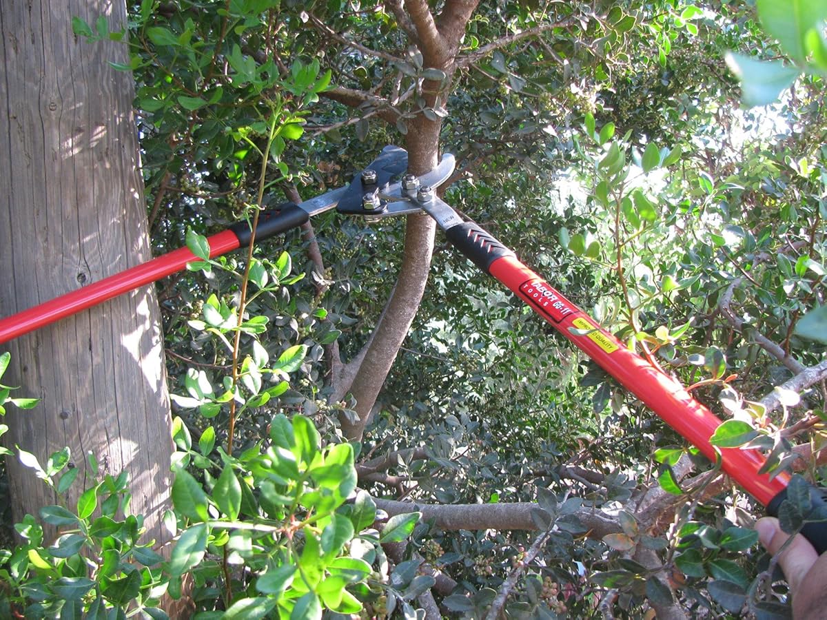 Tabor Tools GG11 Professional Compound Action Bypass Lopper, Chops