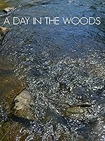 A Day in the Woods