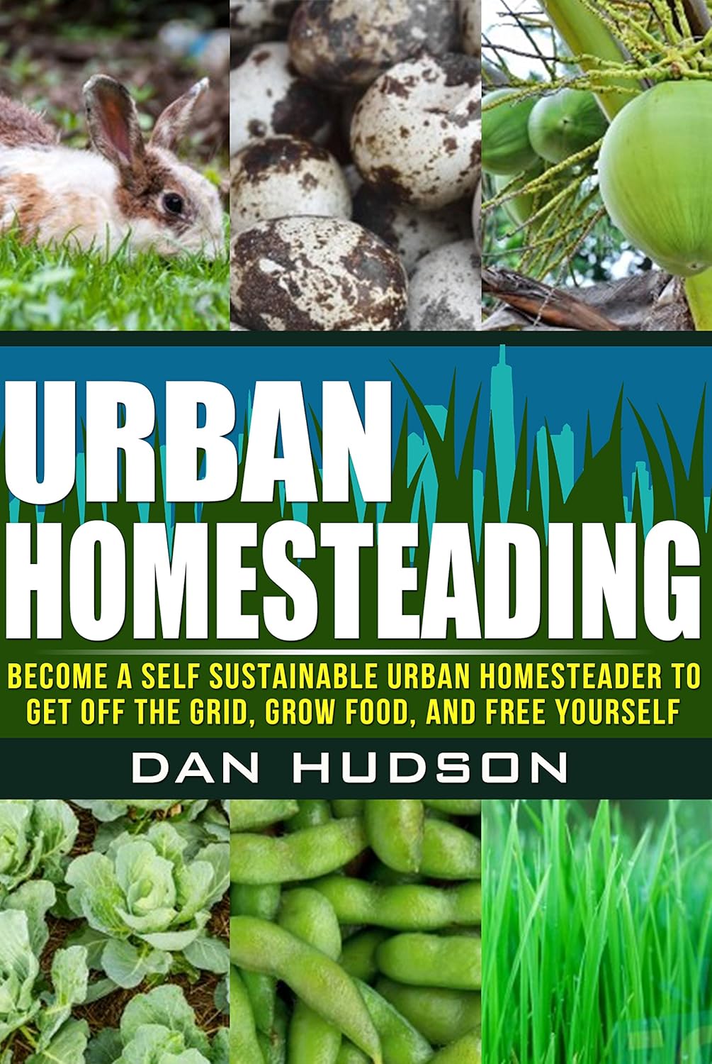 http://www.amazon.com/Urban-Homesteading-Sustainable-Homesteader-Yourself-ebook/dp/B00M2KSSE6/ref=as_sl_pc_ss_til?tag=lettfromahome-20&linkCode=w01&linkId=&creativeASIN=B00M2KSSE6