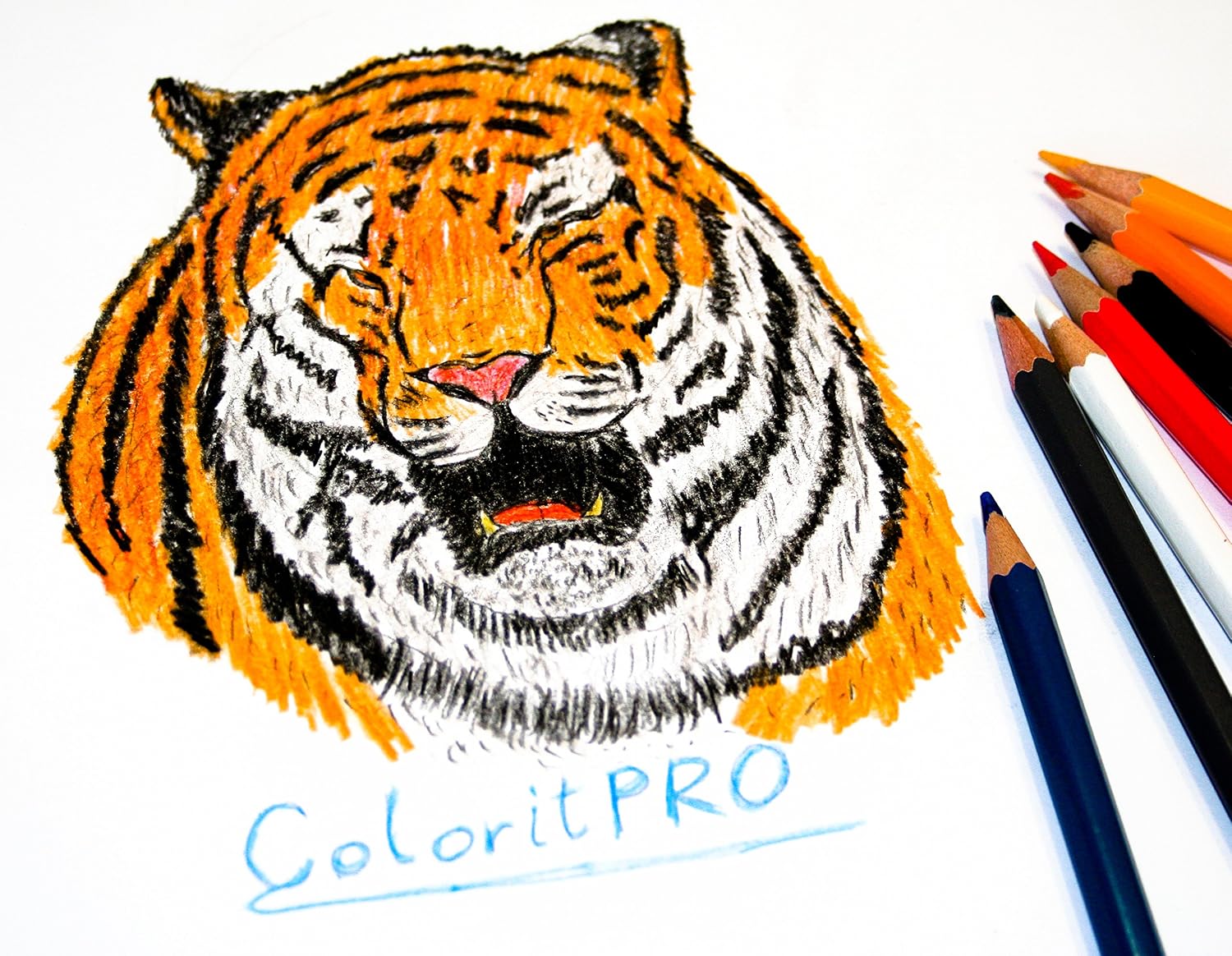 This tiger