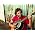 Miniaturansicht von Jack Johnson