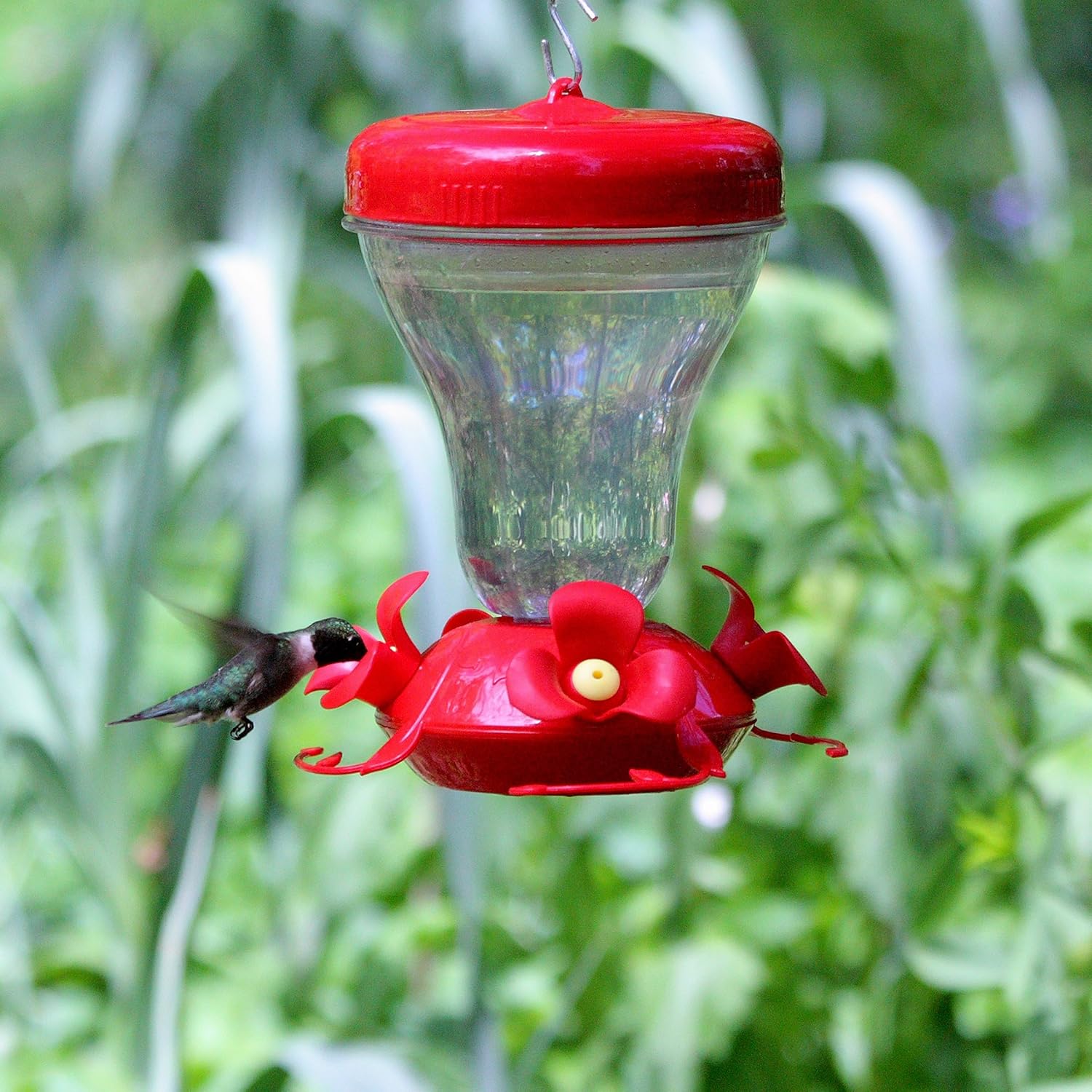 Купить Perky Pet Magnolia Hummingbird Feeder в интернетмагазине Amazon