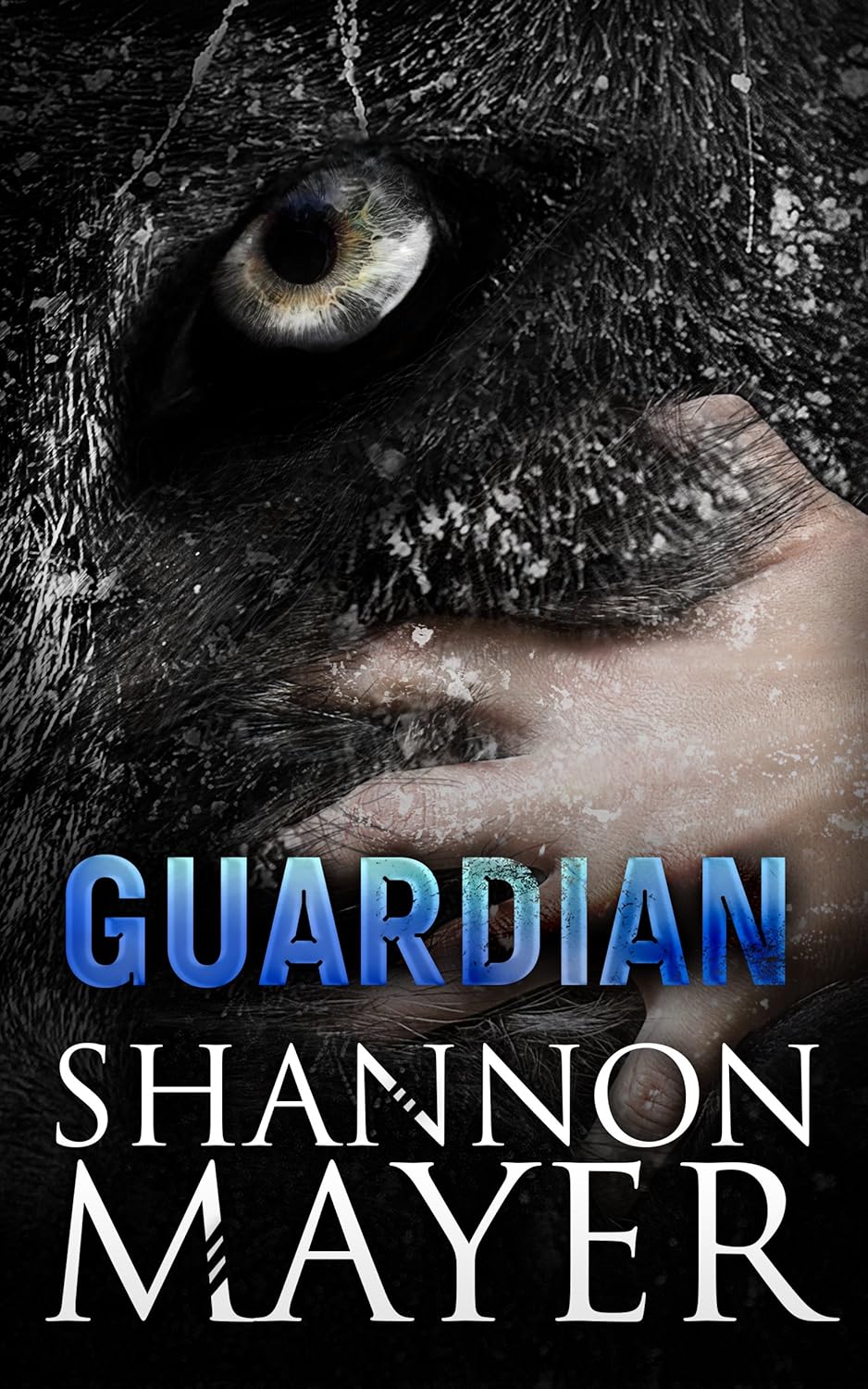 Guardian: Book 6.5 (A Rylee Adamson Novella) - Shannon Mayer
