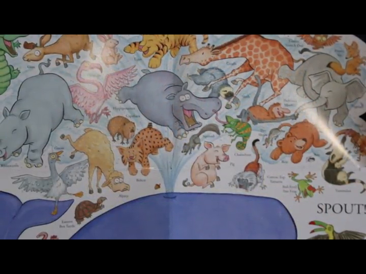 Heads Matthew Van Fleet 9781442403796 Books