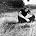 Livingston Taylor - Photo of Livingston Taylor
