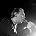 Joe Jackson - Photo of Joe Jackson