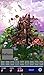 Hidden Object - Spring Garden