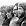 Creedence Clearwater Revival