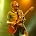 Alex Kapranos - 2006 Coachella Valley Music and Arts Festival - Day One