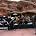 Evanescence - Evanescence in Concert - August 30, 2003