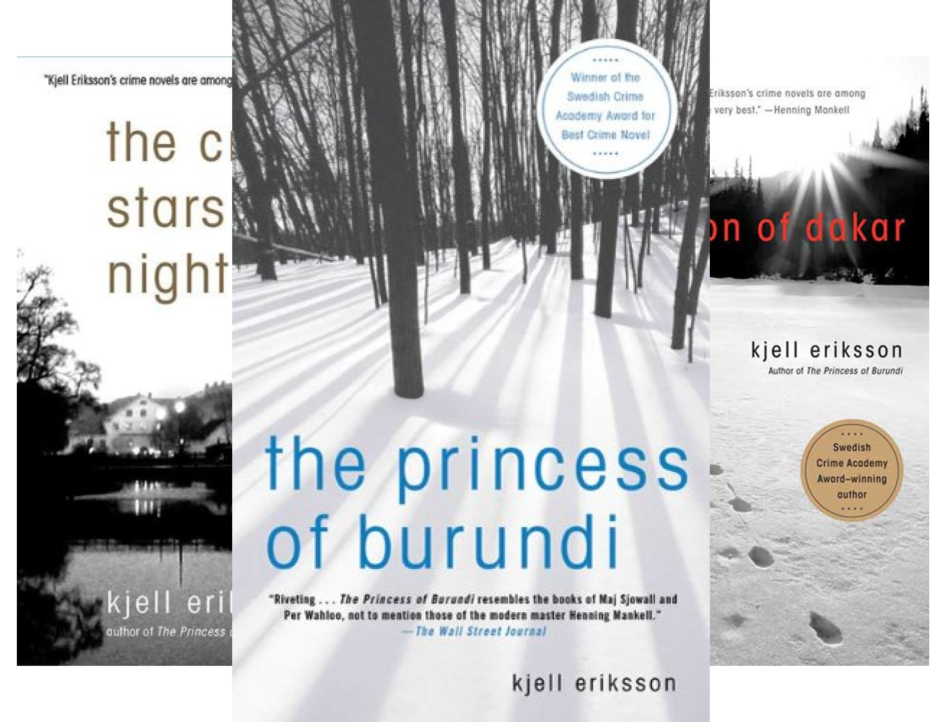 Ann Lindell Mysteries (6 Book Series)