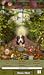 Hidden Object - Country Living