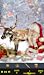 Hidden Object - Wishes on Christmas