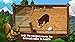 PetWorld WildLife - America Premium