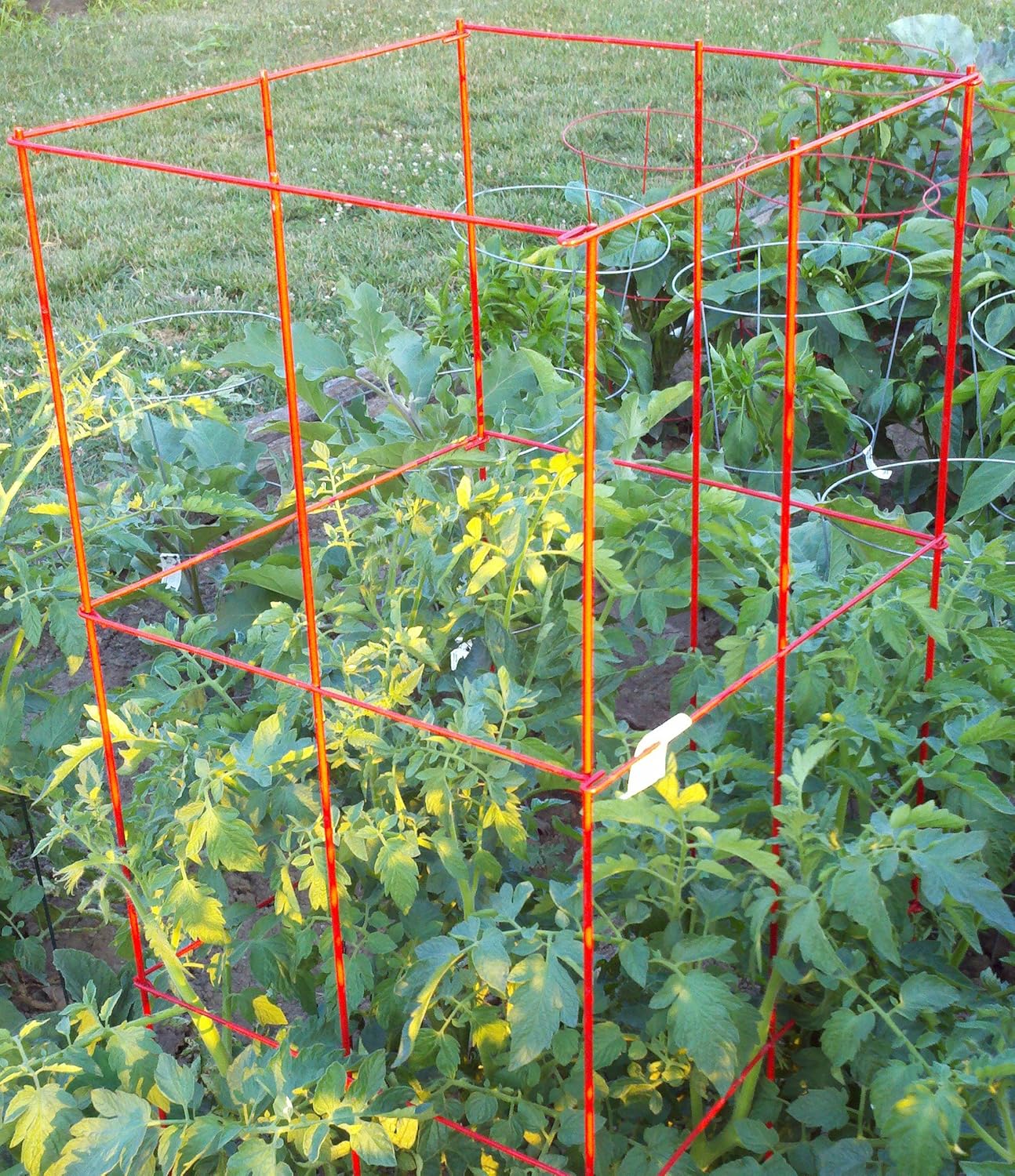 Panacea Products 89764 4Panel Tomato and Plant Support