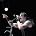 Satyricon - Download Festival 2006 - Day 2