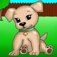 Techitot Pets&nbsp;&nbsp;by Appic Win 