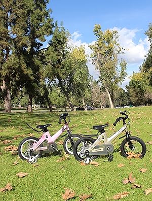 nice c bmx kids bike