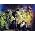Thumbnail image of Klaxons