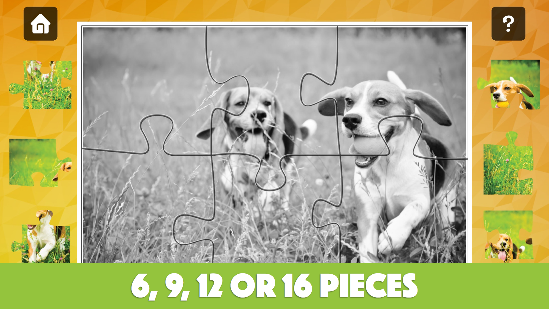 Fun Cats & Dogs Jigsaw Puzzles for kids and toddlers Free