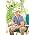 Thumbnail image of Kenny Chesney