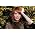 Thumbnail image of Florence + The Machine