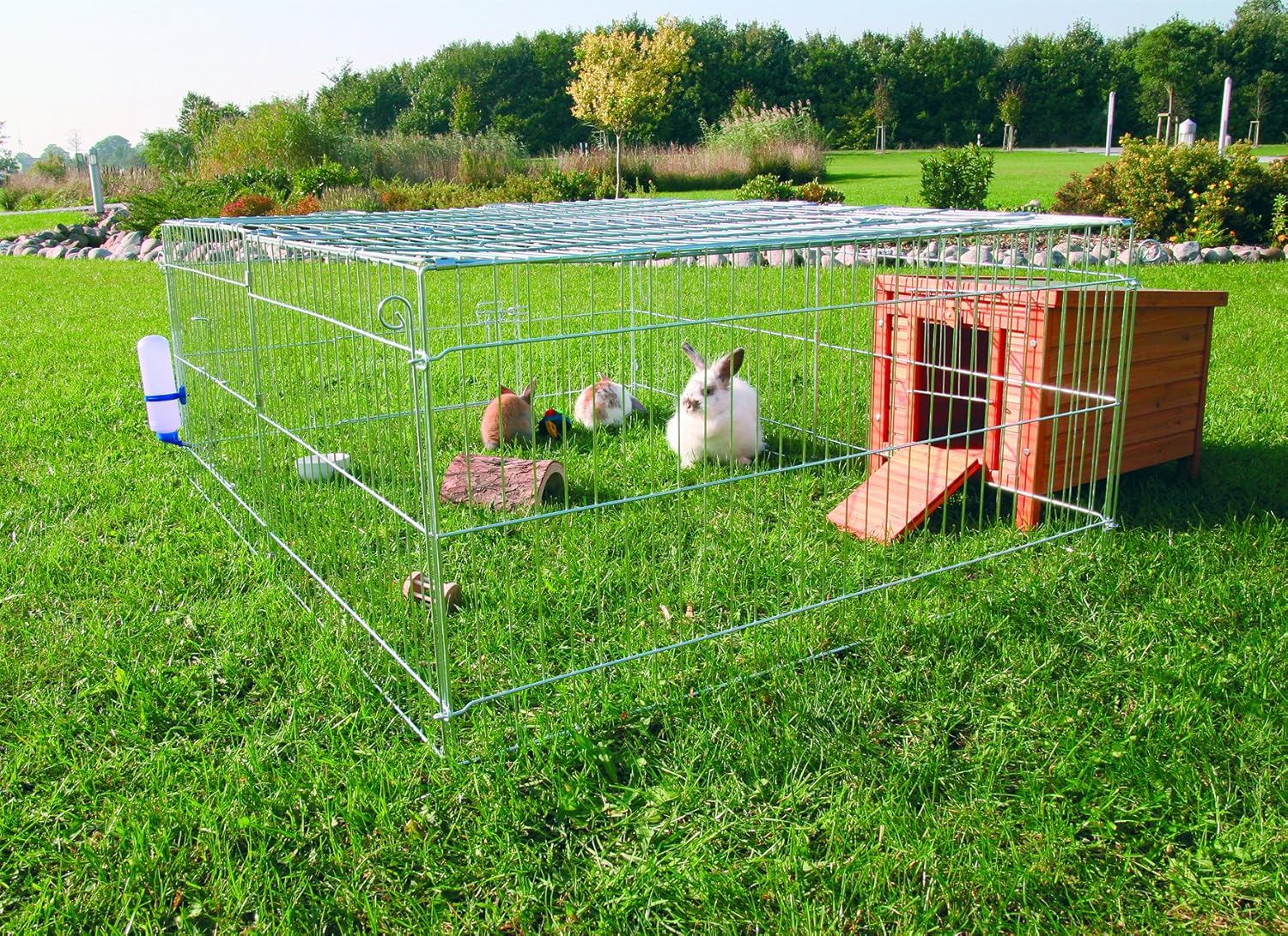 sukilii blog The bunny challenge step two exercise post 1.