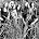 Lynyrd Skynyrd - Photo of Lynyrd Skynyrd