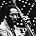 Ron Carter - Ron Carter