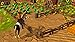 Horse Simulator