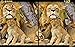 Hidden Objects Quest 9: African Safari