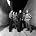 Toto - Photo of Toto