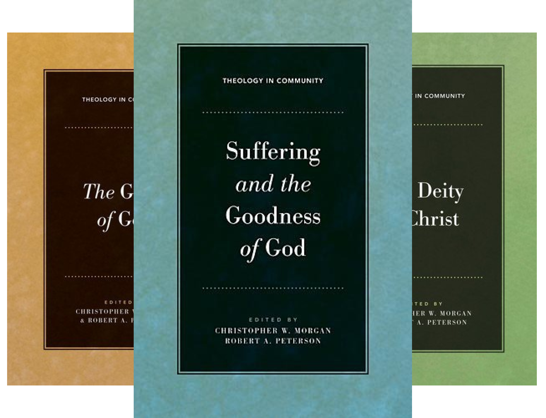 Theology in Community (6 Book Series)