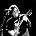 Matthew Sweet - Photo of Matthew Sweet