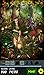 Hidden Object - Elves of the Mystical Forest