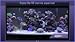 Marine Aquarium HD