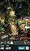 Hidden Object - Treehouse