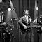 Desert Rose Band