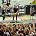 Puddle of Mudd - MTV Spring Break 2002