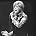 Dusty Springfield - Music File Photos - The 1960s - by Chris Walter
