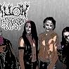 Image of Willow Wisp