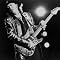 Stevie Ray Vaughan