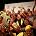 Soweto Gospel Choir - Live Earth Concert  Johannesburg - Backstage