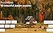 Jigsaw Puzzles: Countryside