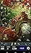 Hidden Object - Cats Island