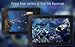Real Aquarium HD